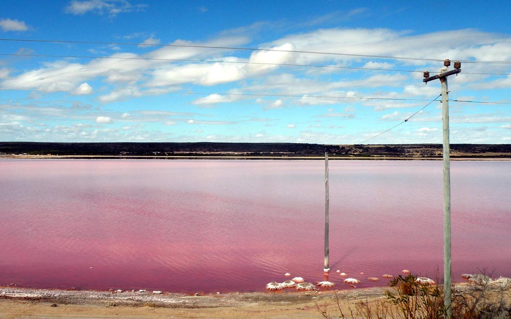 beautiful pink lake 97385 1920x1200    