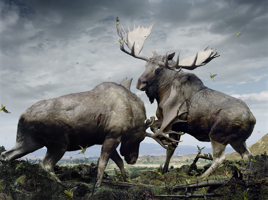  Simen Johan (7 )