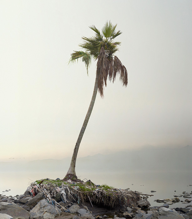  Simen Johan (7 )