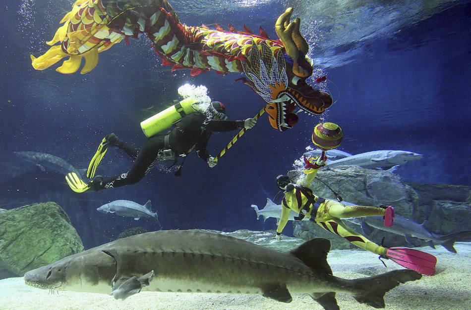 217624 divers perform a dragon dance during an event to celebrate the chinese      