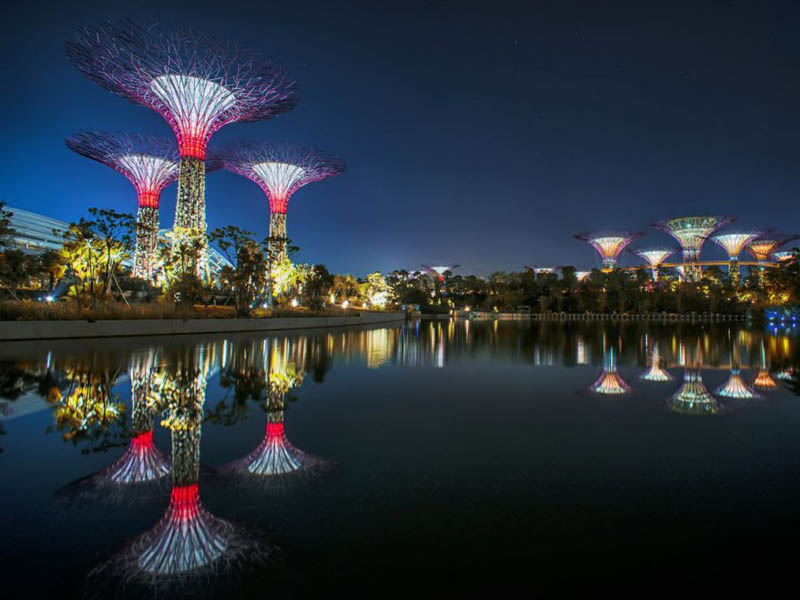 11140 Супер деревья Сингапура
