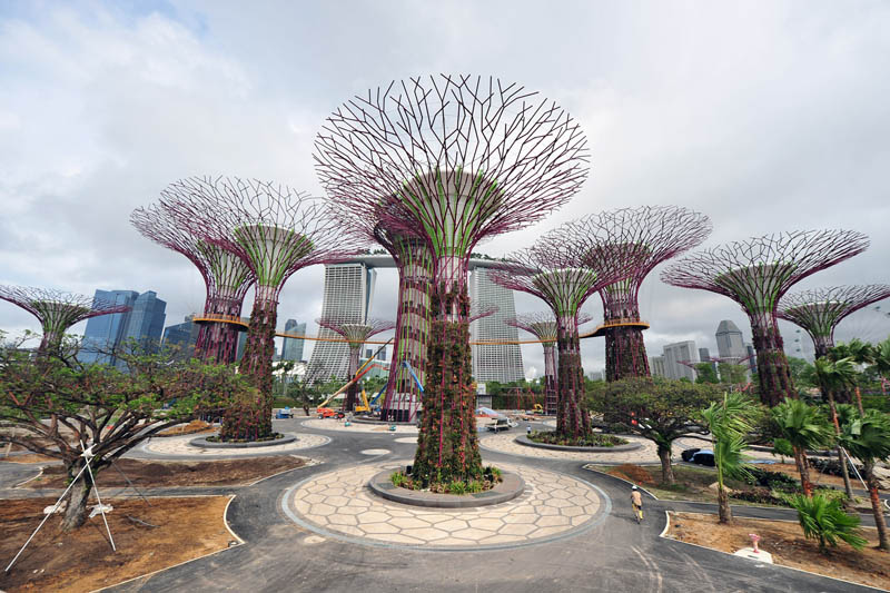 1402 Супер деревья Сингапура