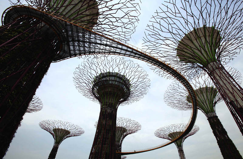 2285 Супер деревья Сингапура