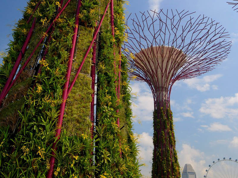 4160 Супер деревья Сингапура