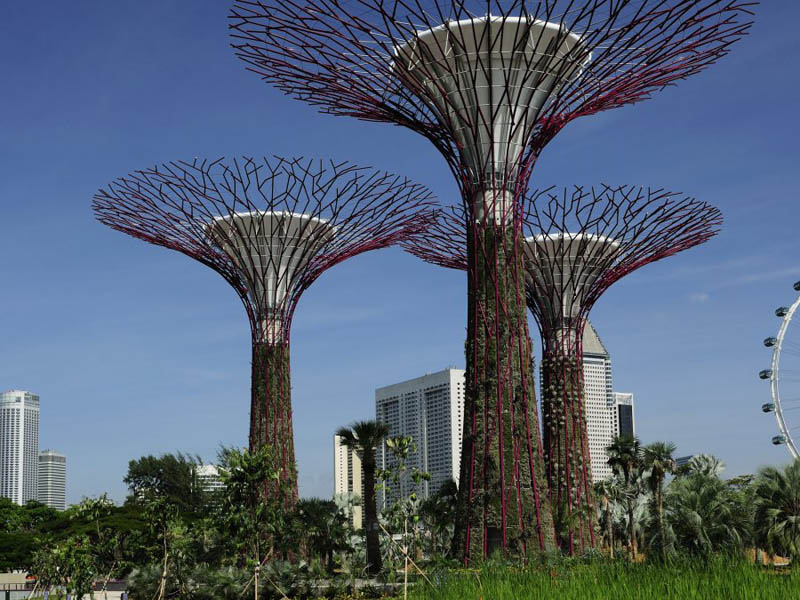 7120 Супер деревья Сингапура