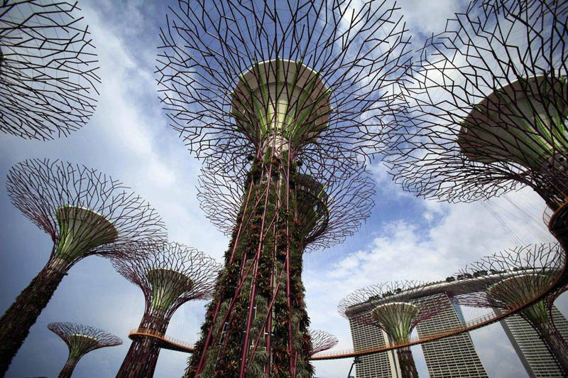 8112 Супер деревья Сингапура
