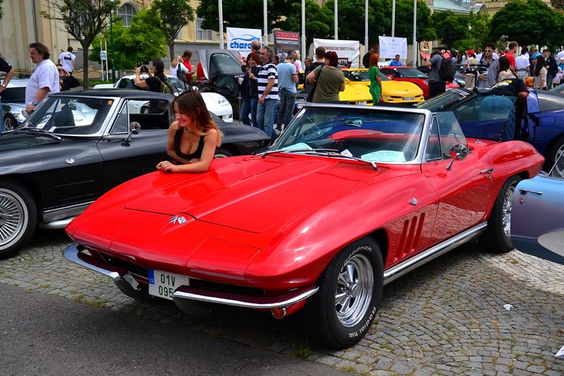 Corvette - party   (49 )