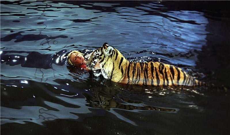 Секреты съемки Леонова с тигром (7 фото)