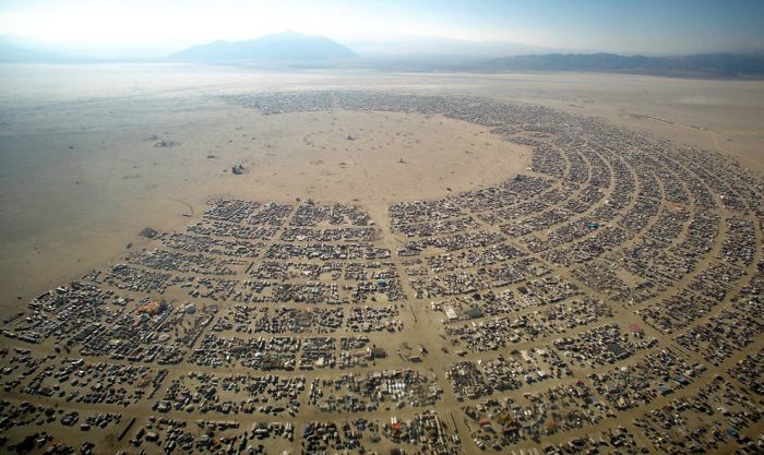    Burning Man 2012 (40 )
