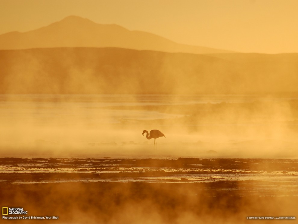 233 990x742      National Geographic   2012