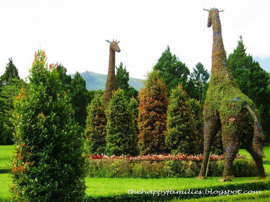 Topiary13   