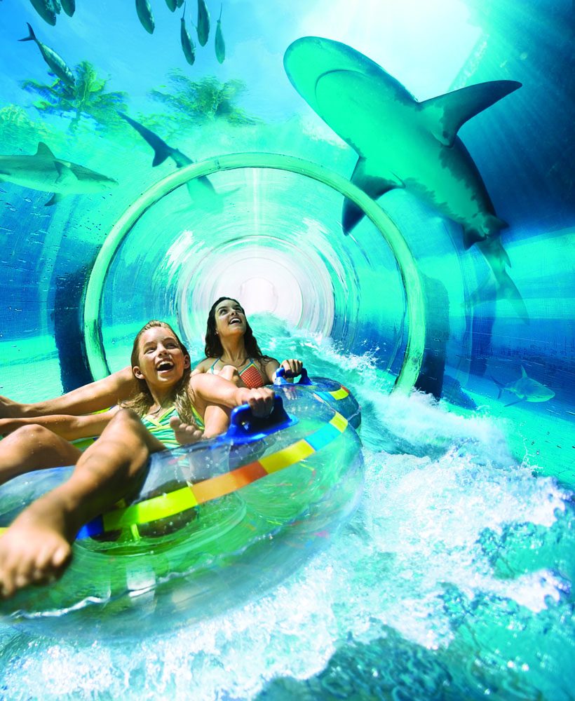 Shark Attack Aquaventure   –     