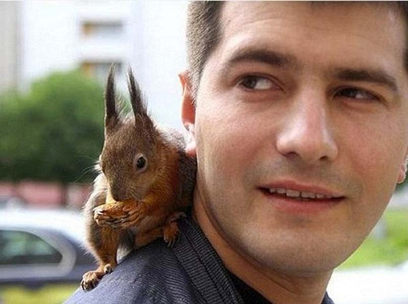 The squaddie and the squirrel 2   