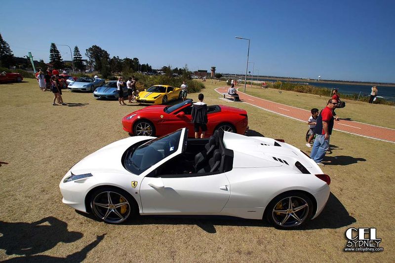     NSW Ferrari Club (49 )