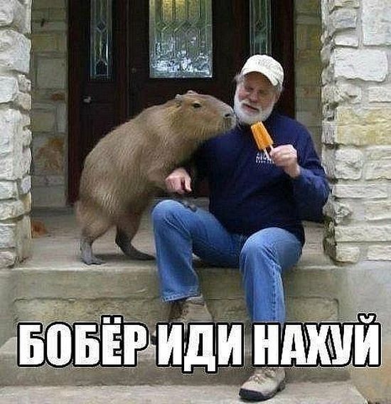 Прикольные картинки (115 фото) Прикольные картинки (115 фото)