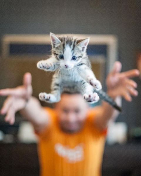 Прикольные картинки (115 фото) Прикольные картинки (115 фото)