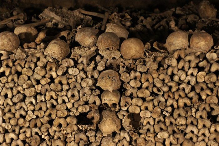 Прикольные картинки (115 фото) Прикольные картинки (115 фото)