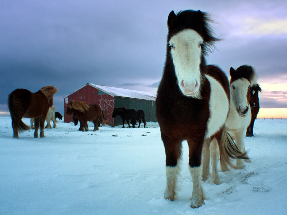 153      National Geographic   2012