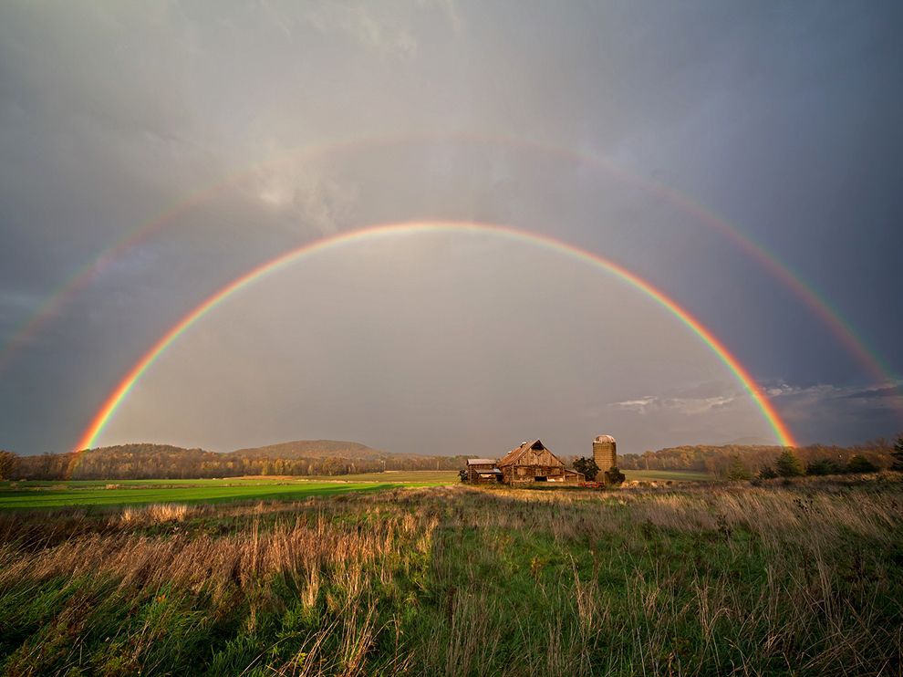 49      National Geographic   2012