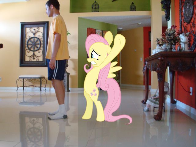  My Little Pony      (23 )