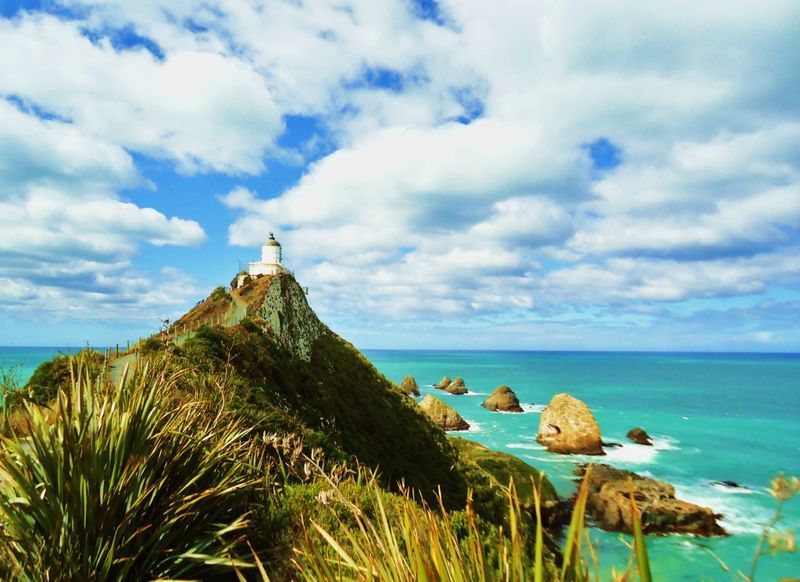  Nugget Point (6 )