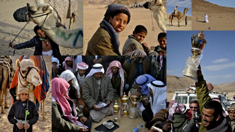 egipet Camel Race,  ,     