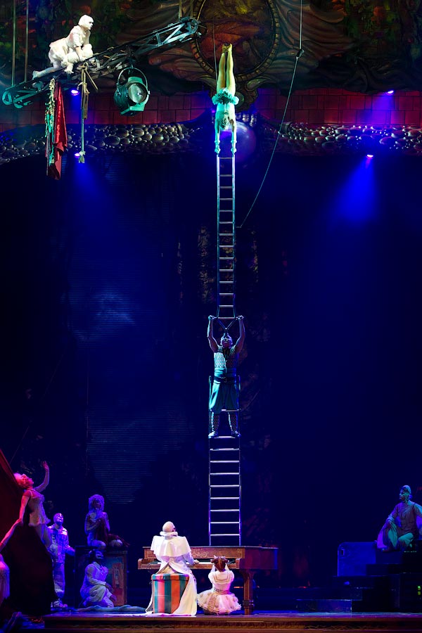 2935 Cirque du Soleil  