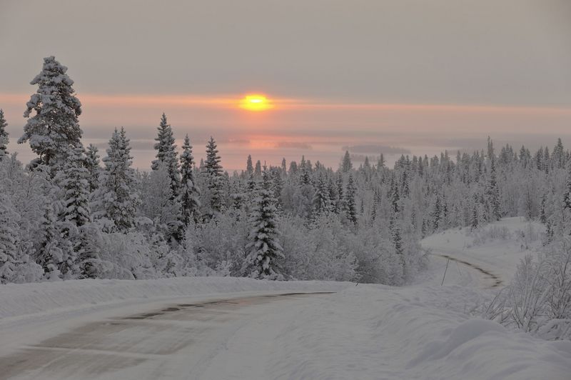   AMG Driving Academy Winter Sporting PRO (72 )