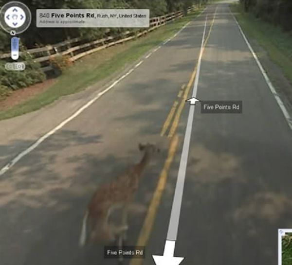    Google Street View (3 )