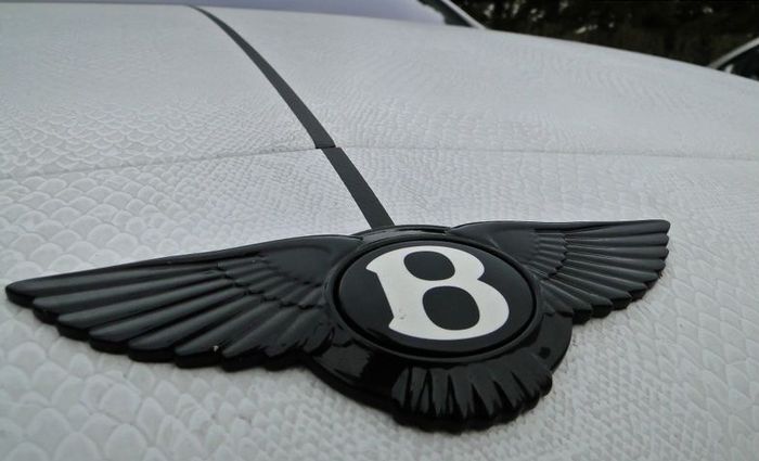 Bentley Continental GT      Dartz (6 )
