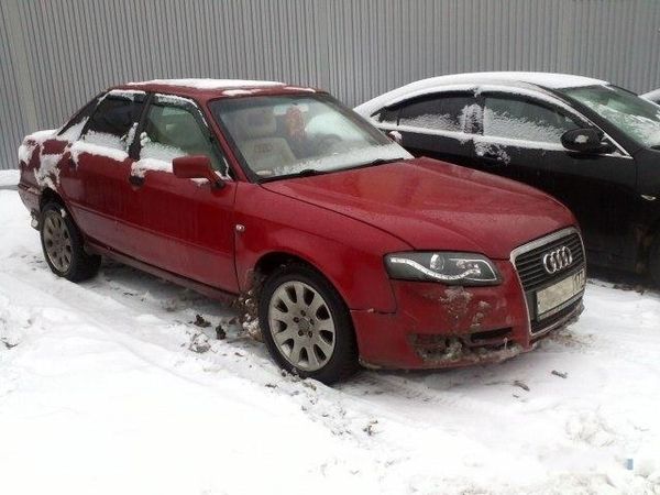   Audi (3 )