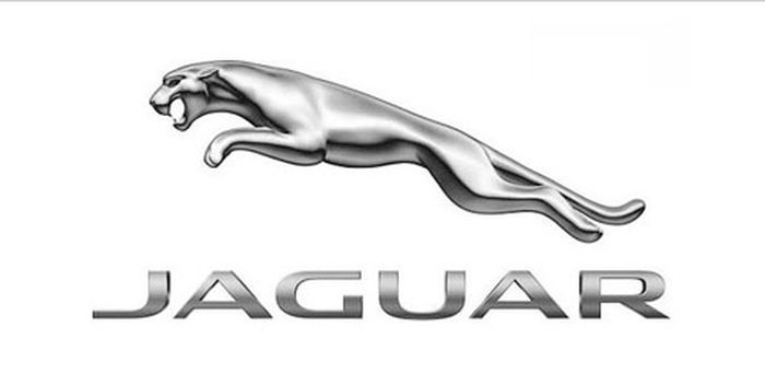  Jaguar    (+)