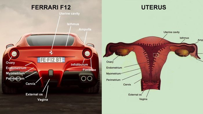   Ferrari 612 Berlinetta    ?! (3 )