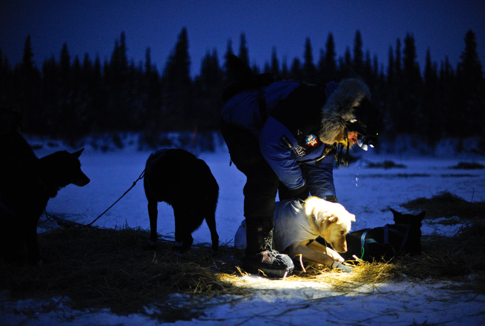 iditarod 2012 01  2012