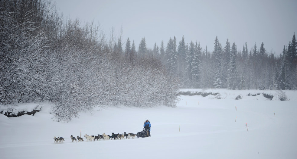 iditarod 2012 05  2012