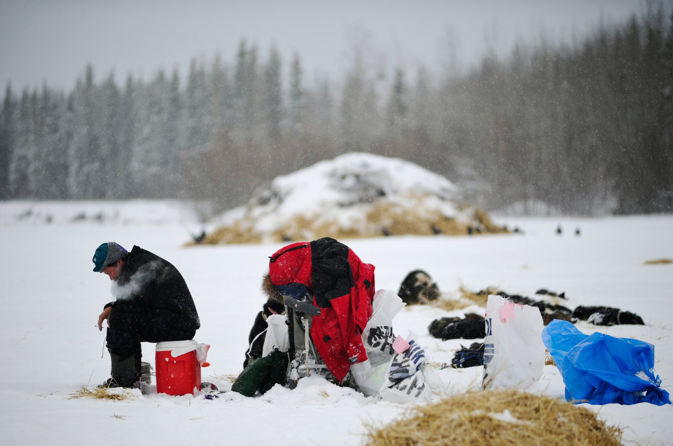 iditarod 2012 07  2012