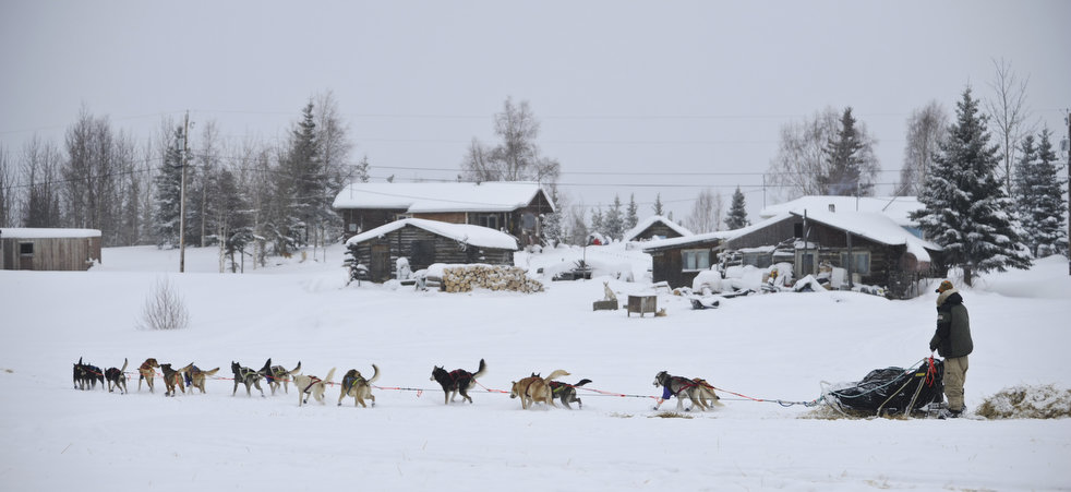 iditarod 2012 10  2012