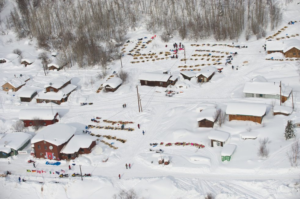 iditarod 2012 12  2012