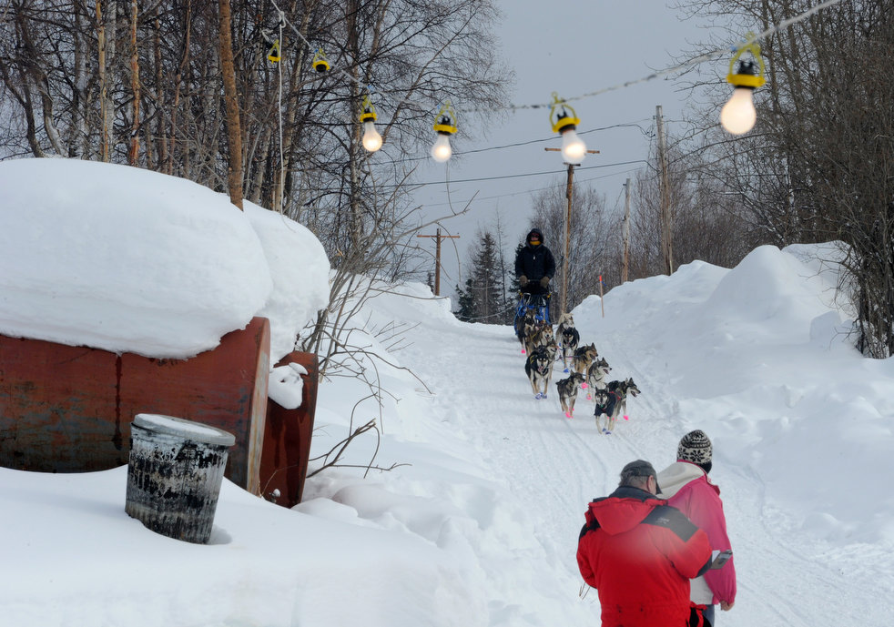 iditarod 2012 13  2012