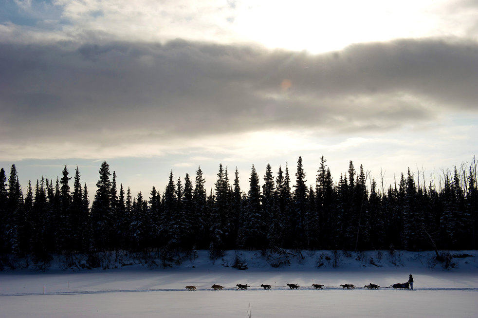 iditarod 2012 14  2012