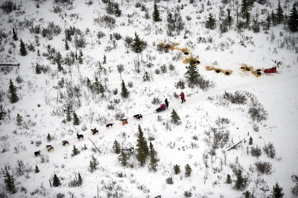 iditarod 2012 19  2012