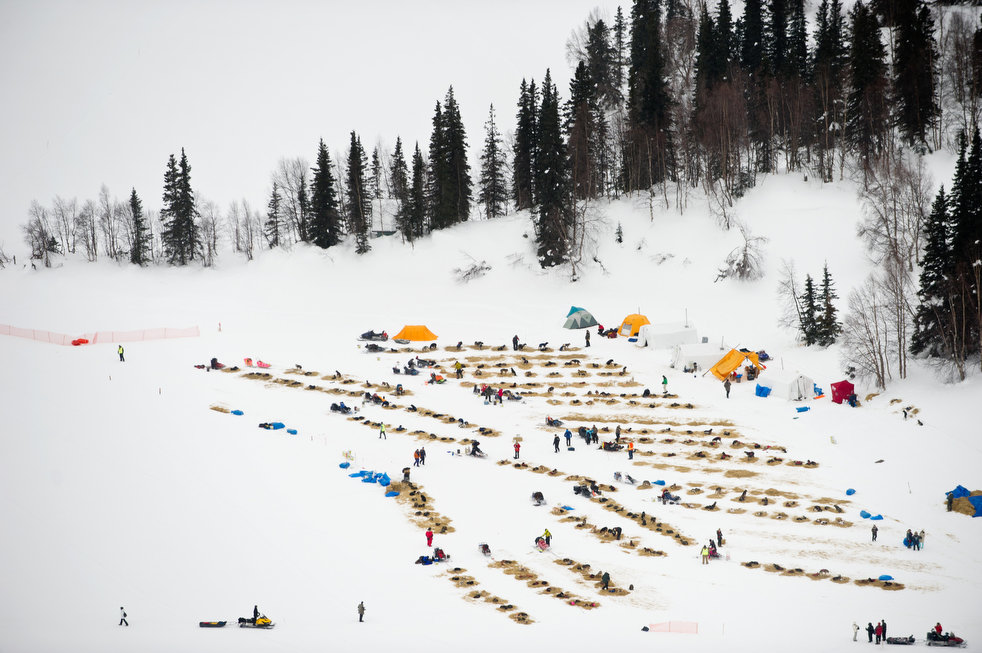 iditarod 2012 27  2012