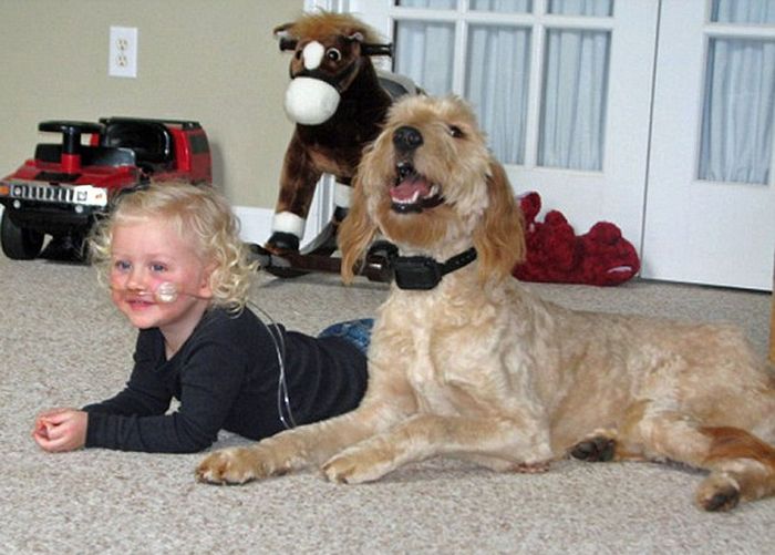 Трубка жизни (8 фото + 1 видео)