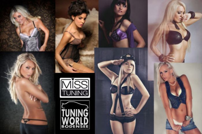 -20  -    Miss Tuning 2013 (20 )