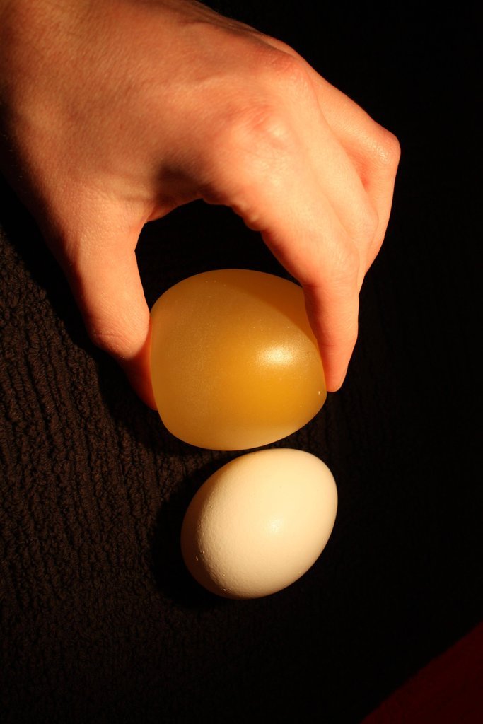 egg05     