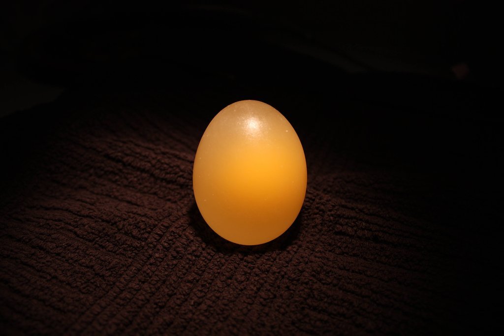 egg08     