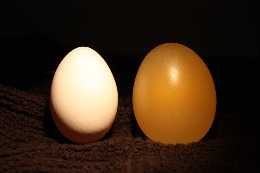 egg10     