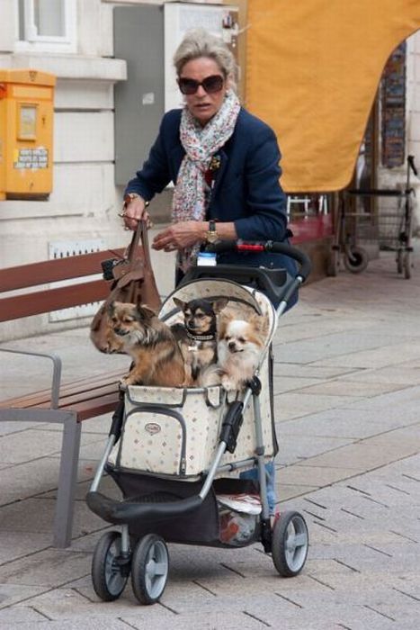 Прикольные картинки (150 фото)