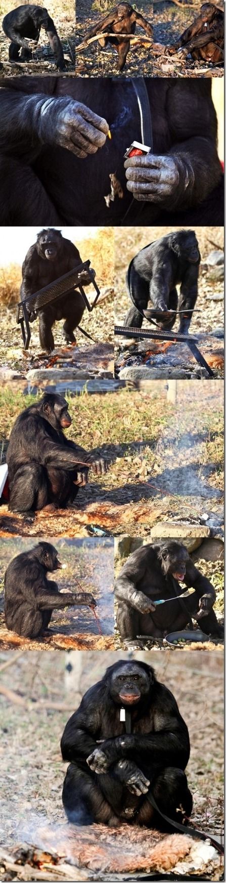 Прикольные картинки (150 фото)