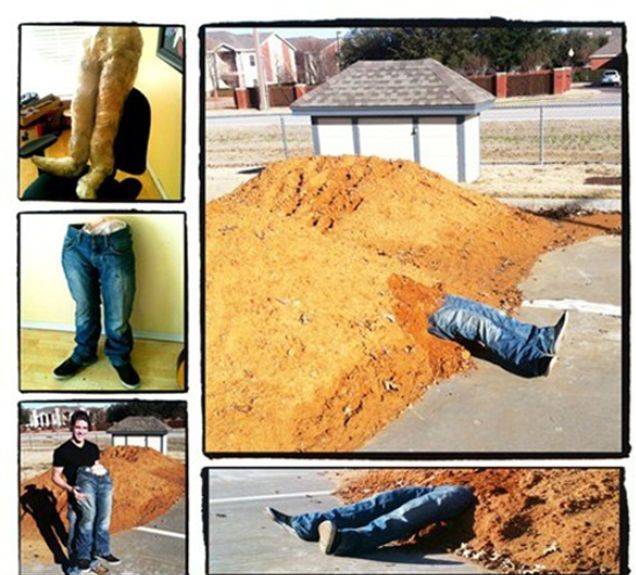 Прикольные картинки (150 фото)